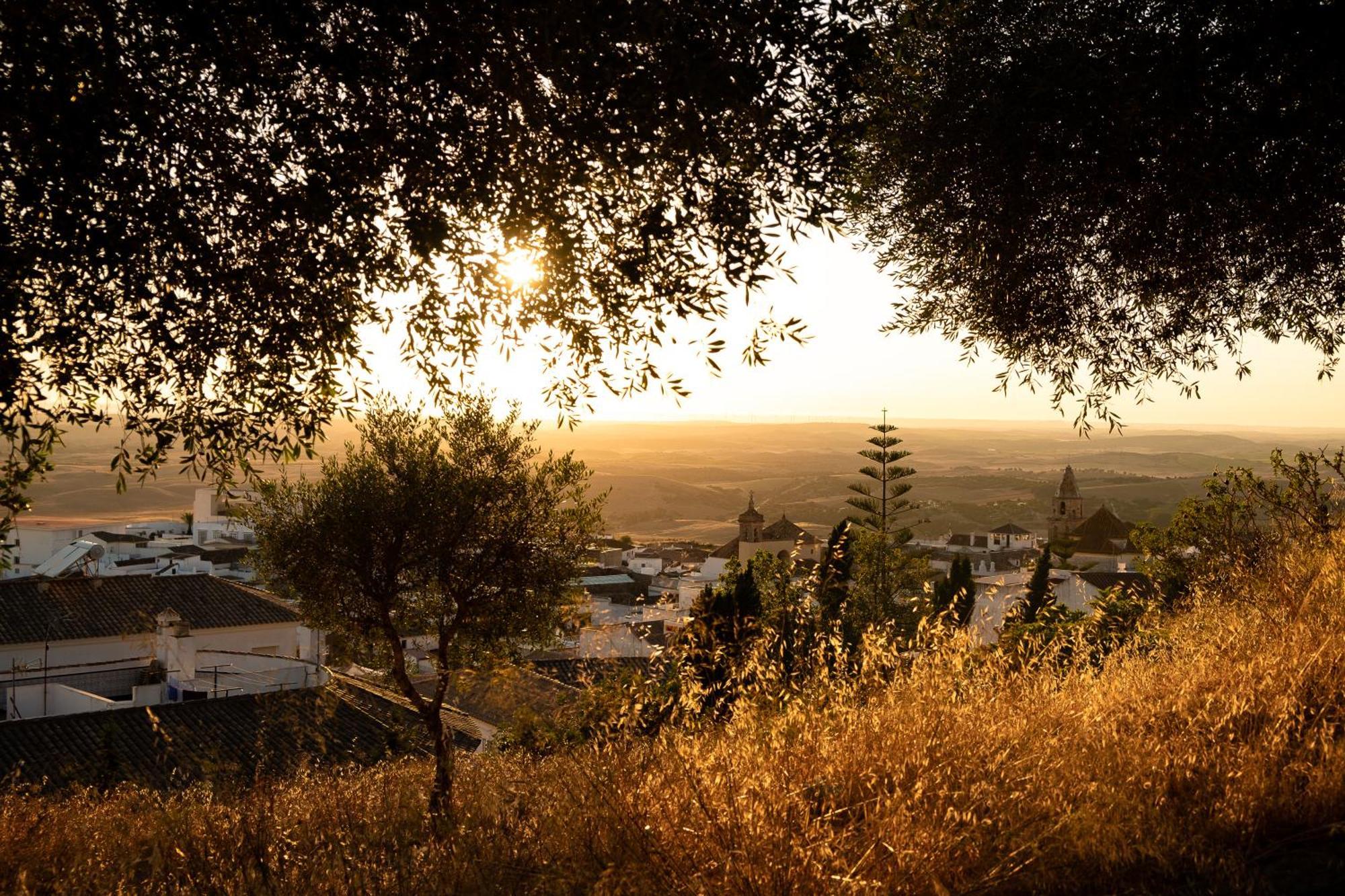 El Sur * Medina-Sidonia
